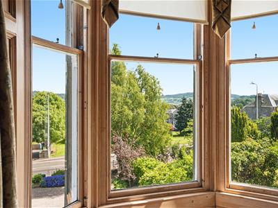 Picture 24